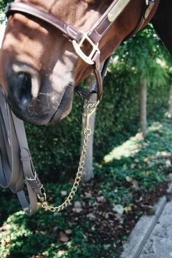 Stud Chain - 60 Cm -Horse Riding - Harness KEN 42531 41 60 2