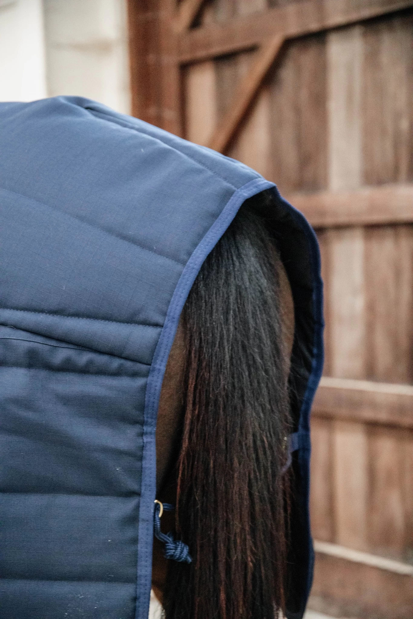 Stable Rug 100g - Navy 7 Stable Rug 100g - Navy - Image 5