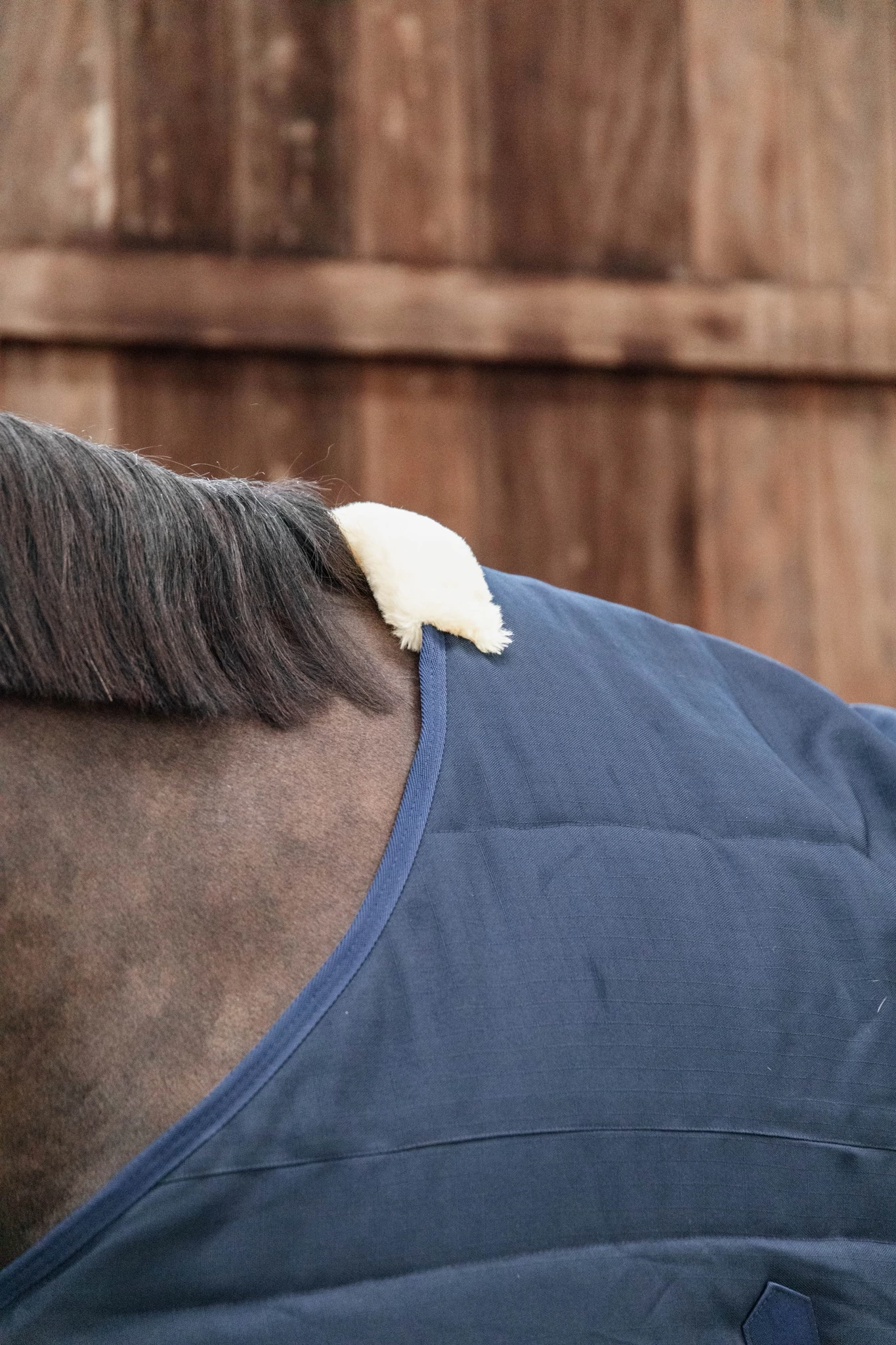 Stable Rug 100g - Navy 5 Stable Rug 100g - Navy - Image 3