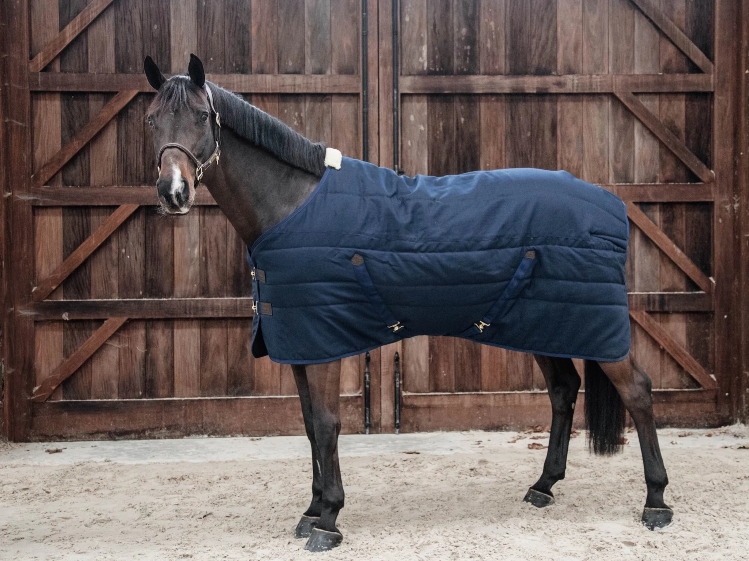 Stable Rug 100g - Navy 3 Stable Rug 100g - Navy