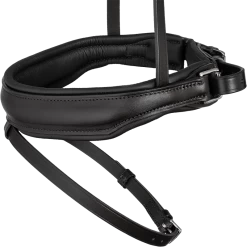 Ergonomic Noseband