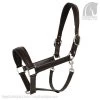 Leather Halter - Brown/Brown -Horse Riding - Harness OS 615192 BB