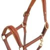 Leather Halter - Havanna/Silver -Horse Riding - Harness OS 615352 4279