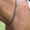 Blenheim Neck Strap Leather -Horse Riding - Harness RC SH447G 03