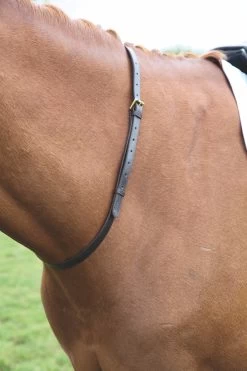 Blenheim Neck Strap Leather