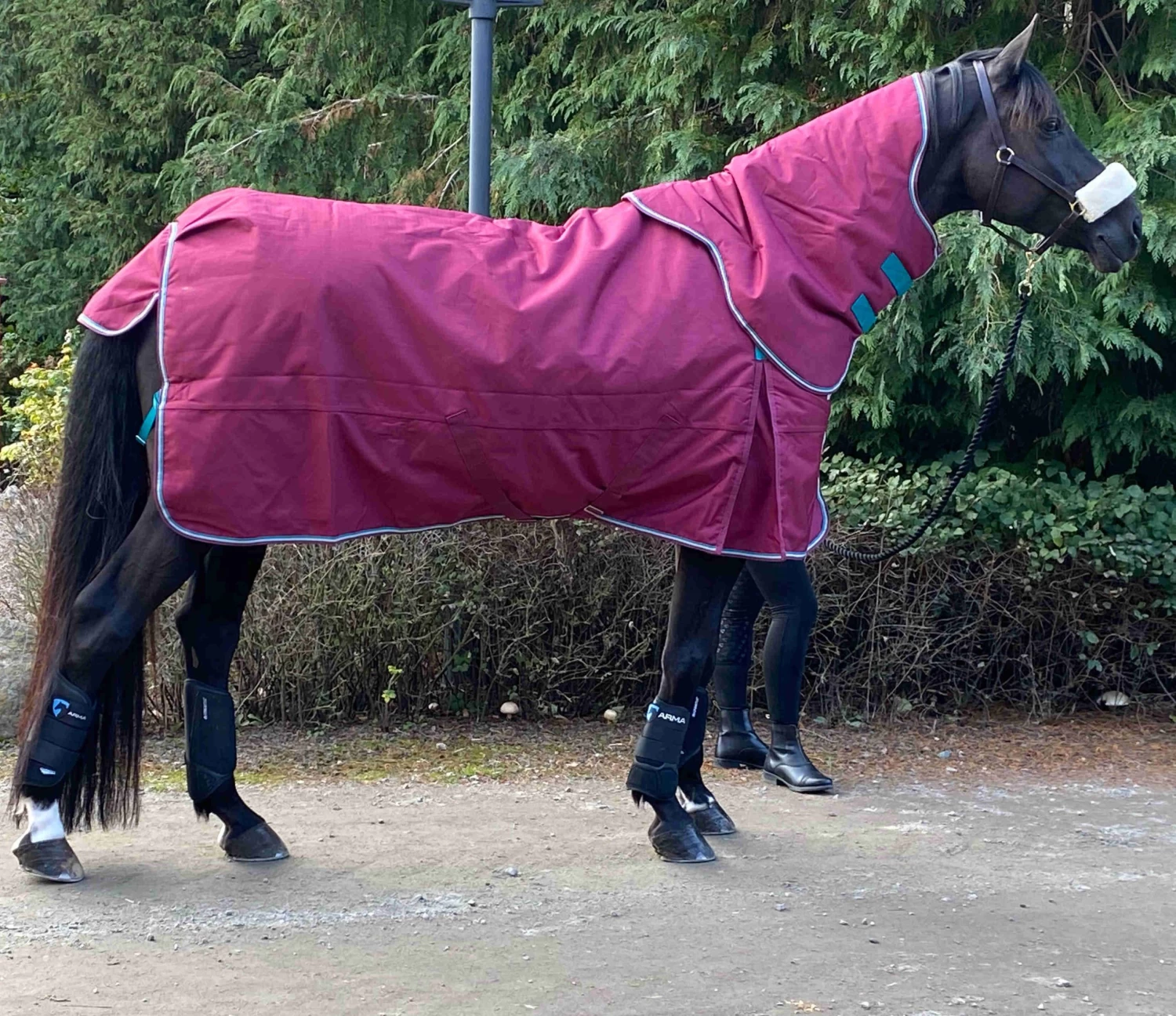 Highlander Original 200 Gr 4 Highlander Original 200 Gr - Image 2