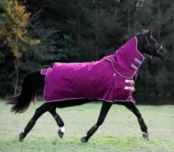 Highlander Original 200 Gr 9 Highlander Original 200 Gr -Horse Riding - Harness RC SH9361 11