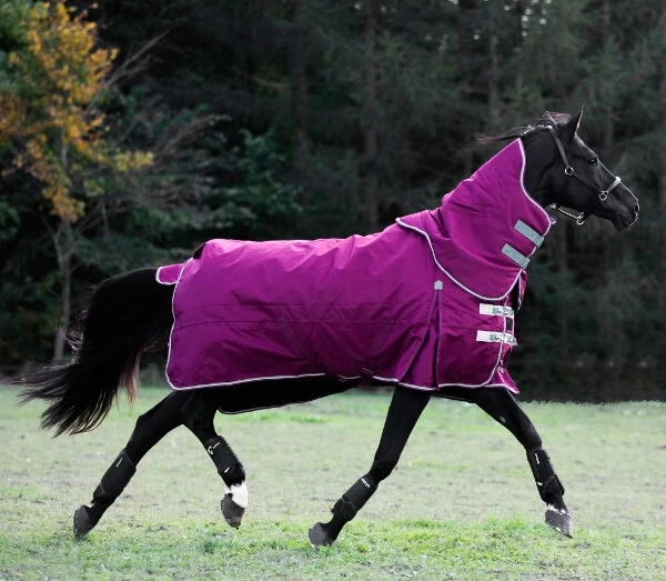 Highlander Original 200 Gr 5 Highlander Original 200 Gr - Image 3