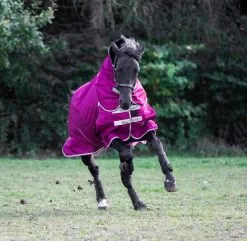 Highlander Original 200 Gr 10 Highlander Original 200 Gr -Horse Riding - Harness RC SH9361 6 2