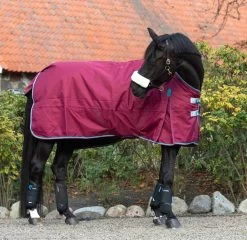 Highlander Original 200 Gr 11 Highlander Original 200 Gr -Horse Riding - Harness RC SH9361 7