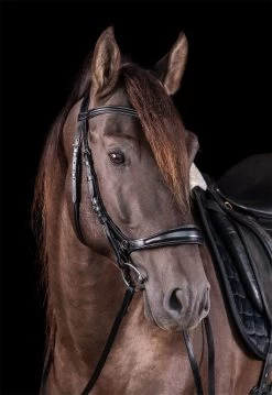Anatomical Equitus Theta Bridle - Brown -Horse Riding - Harness SS 1101 00067B 2