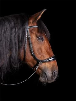 Anatomical Equitus Theta Bridle - Black -Horse Riding - Harness SS 1101 00067B 3