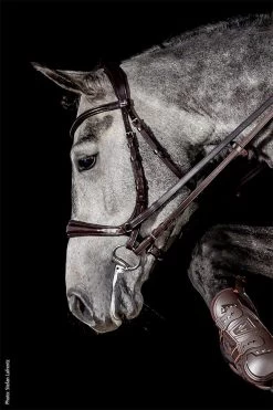 Anatomical Equitus Theta Bridle - Brown -Horse Riding - Harness SS 1101 00067E 1