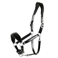 Leather Halter Fremont - Black - Full
