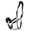 Leather Halter Fremont -Horse Riding - Harness SS 1310 00012BR