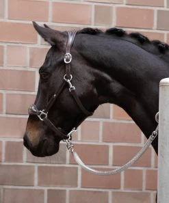Leather Halter Fremont -Horse Riding - Harness SS 1310 00012 4 1