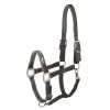 Halter Memphis Safety - Anthra