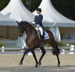 EquiSoft Girth - Brown 10 EquiSoft Girth - Brown -Horse Riding - Harness ST 277 6 1