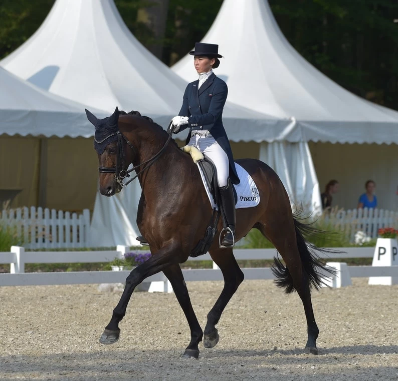 EquiSoft Girth - Brown 5 EquiSoft Girth - Brown - Image 3