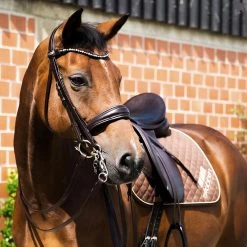 Double Bridle And Bridle Switch MT - Black -Horse Riding - Harness ST 2810 2