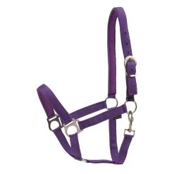 Nylon Halter - Purple