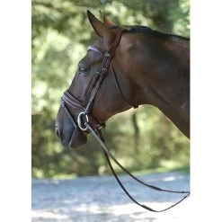 Dyón Bridle -Horse Riding - Harness dyon trans