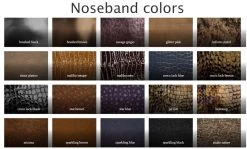 Noseband XS Comfort - Own Design -Horse Riding - Harness noseband colors1